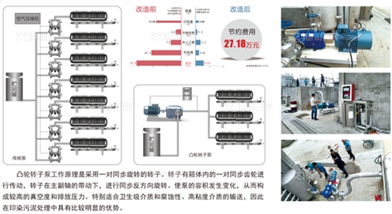 印染领域板框压滤机上料泵.png