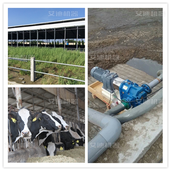 艾迪机器铲平应用于畜牧业养殖场