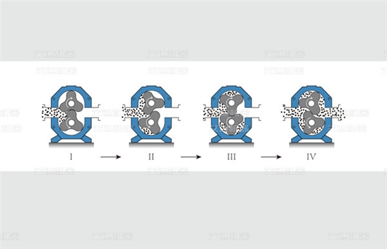 凸轮转子泵工作原理图.jpg