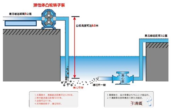 凸轮转子泵自吸实验.jpg