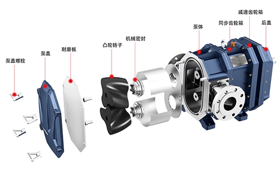 弹性体凸轮转子泵爆炸图.jpg 弹性体凸轮转子泵爆炸图.jpg