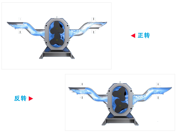 转子泵工作原理