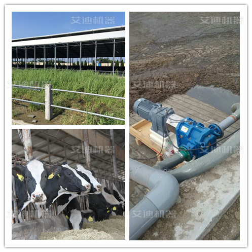 畜牧业奶牛养殖场 (2).png 畜牧业奶牛养殖场 (2).png