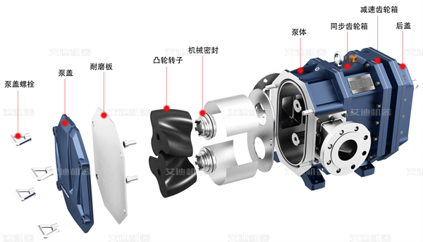 弹性体凸轮转子泵的结构与特点