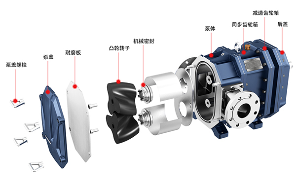 弹性体凸轮转子泵爆炸图.jpg 弹性体凸轮转子泵爆炸图.jpg
