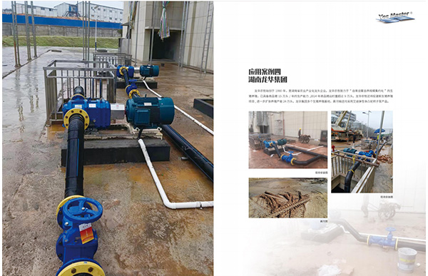 湖南龙牧集团用转子泵.jpg 湖南龙牧集团用转子泵.jpg